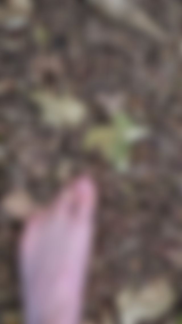 Getting my foot all dirty 🤭 I love being out in nature 💚