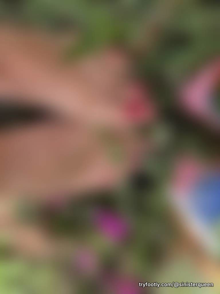 Where flowers grow….secrets flow