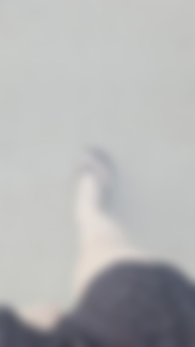 Nice day for a walk?