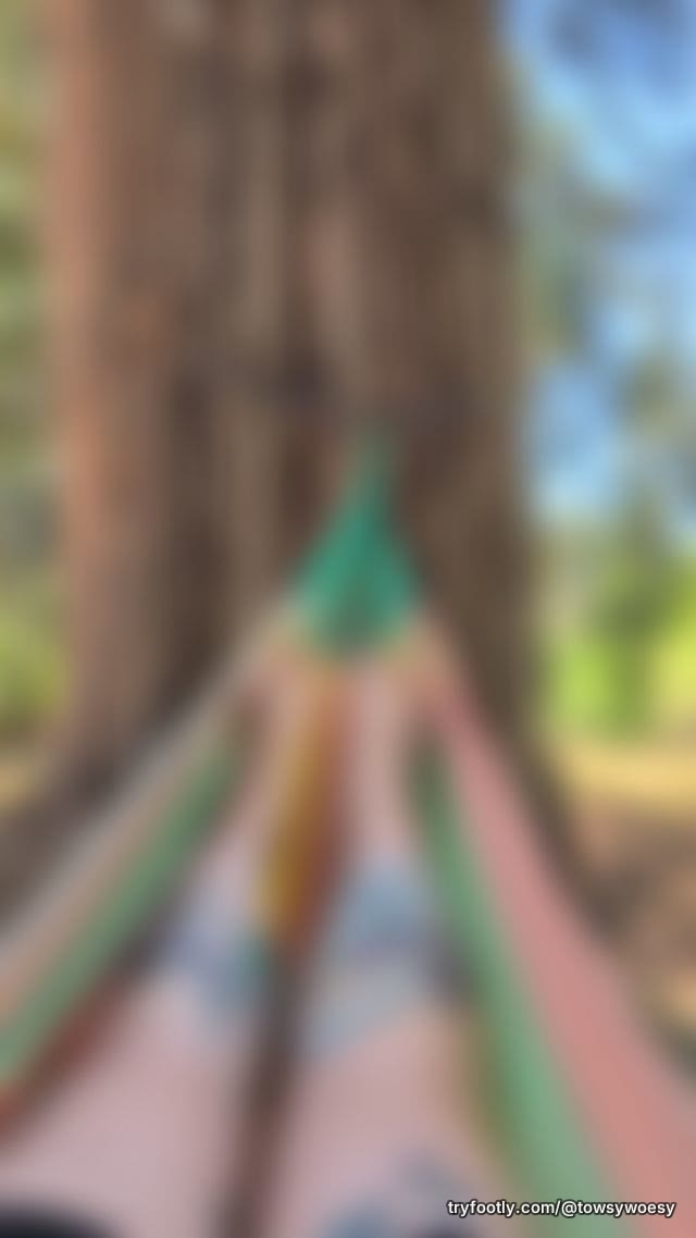 🌲 sounds of the forest 🐦