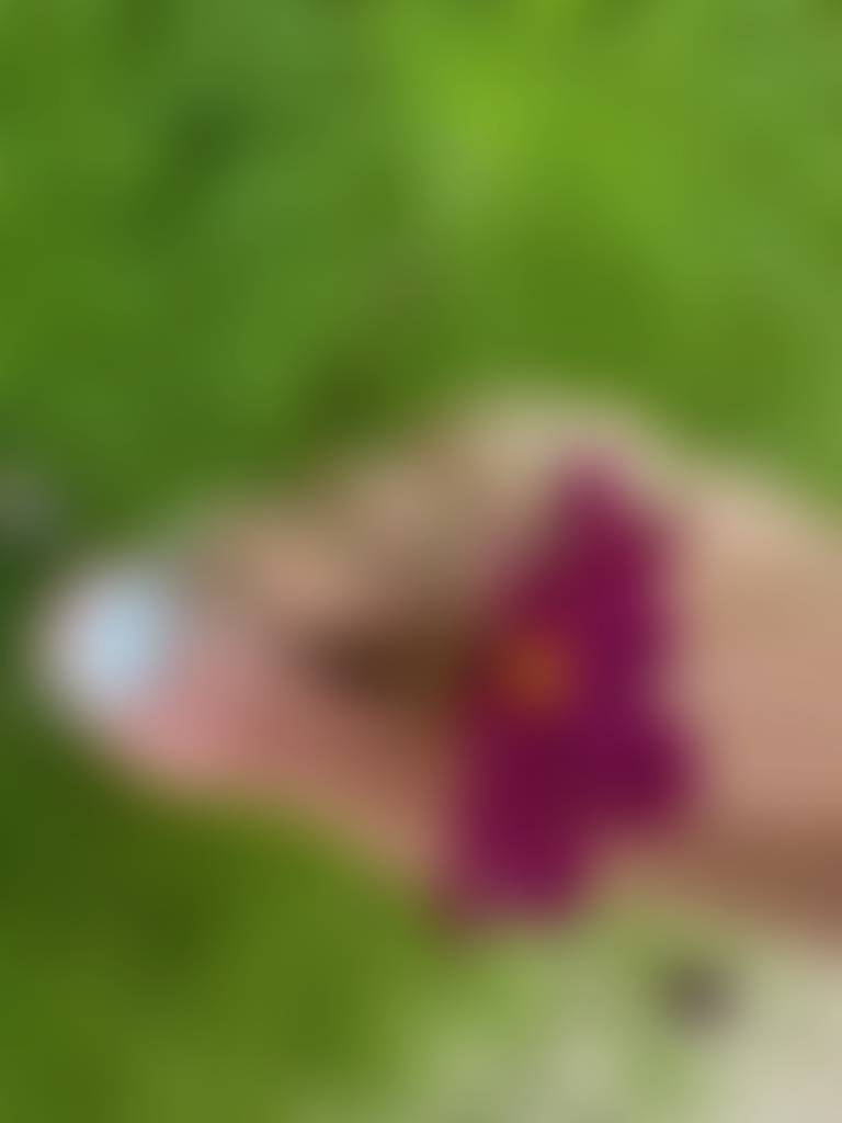 🌸