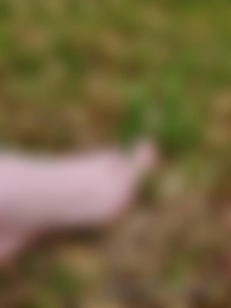 Love the feeling of grass in my toes