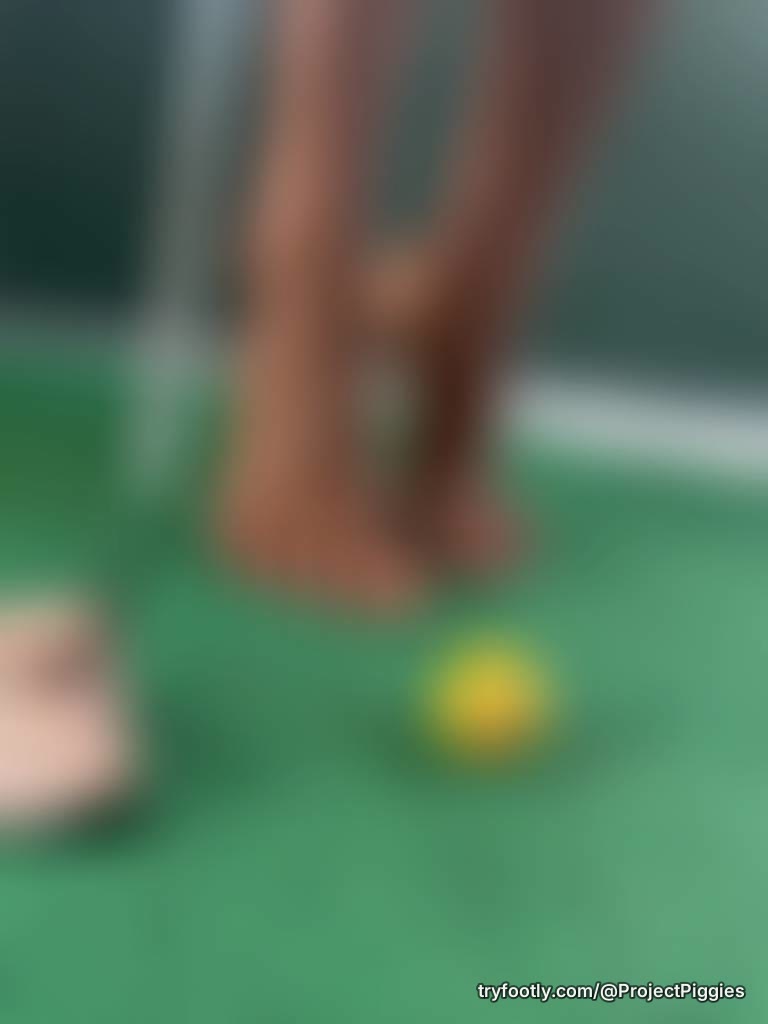 Subscribe of message me for more content! These little piggies are trying to make friends.