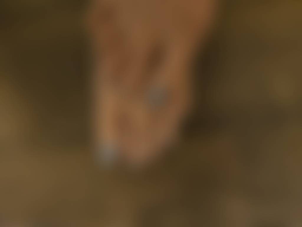Good Morning. Anyone like what they see?