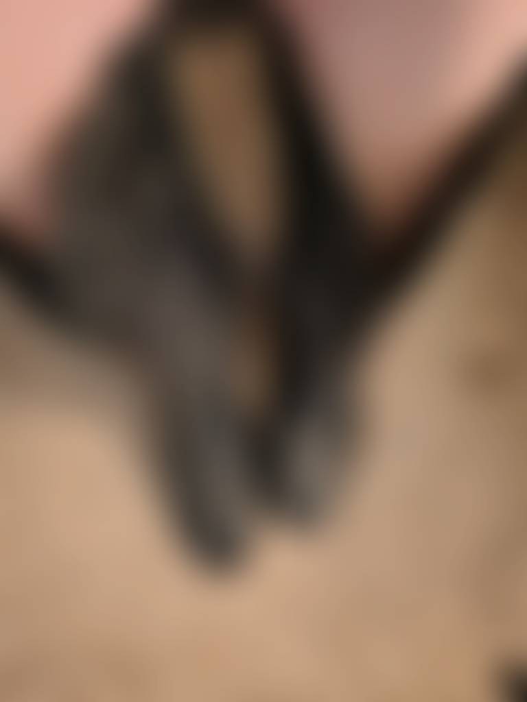 Cowgirl vibes only 🤠✨ These boots were made for more than just walking… you ready to see w