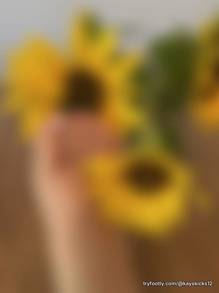 🌻