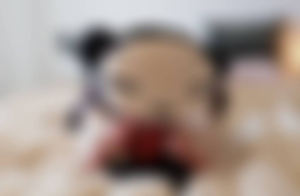 Pucca insisted on a full shoot, 6 full HD pics🧸👀 Who am I to say no? ✨ Unlock the full set