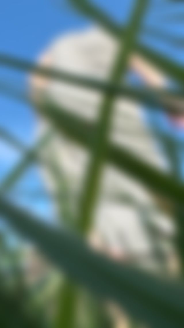 Giantess content available. Be warned I’m quite twisted.