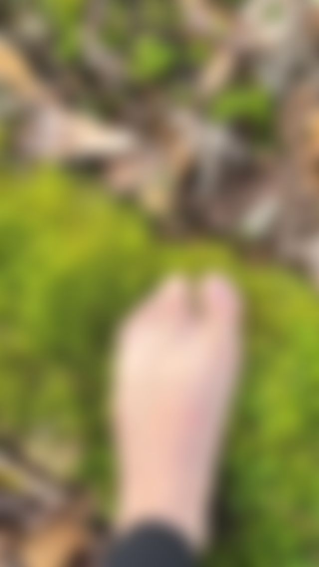 Barefoot, wild & a little bit muddy 🌿 Just a farm girl who wandered into the woods and for