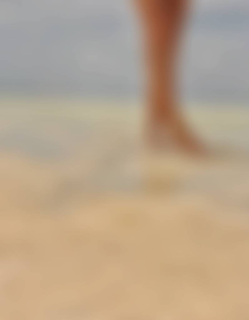 Rooted in sand, held by the sea.