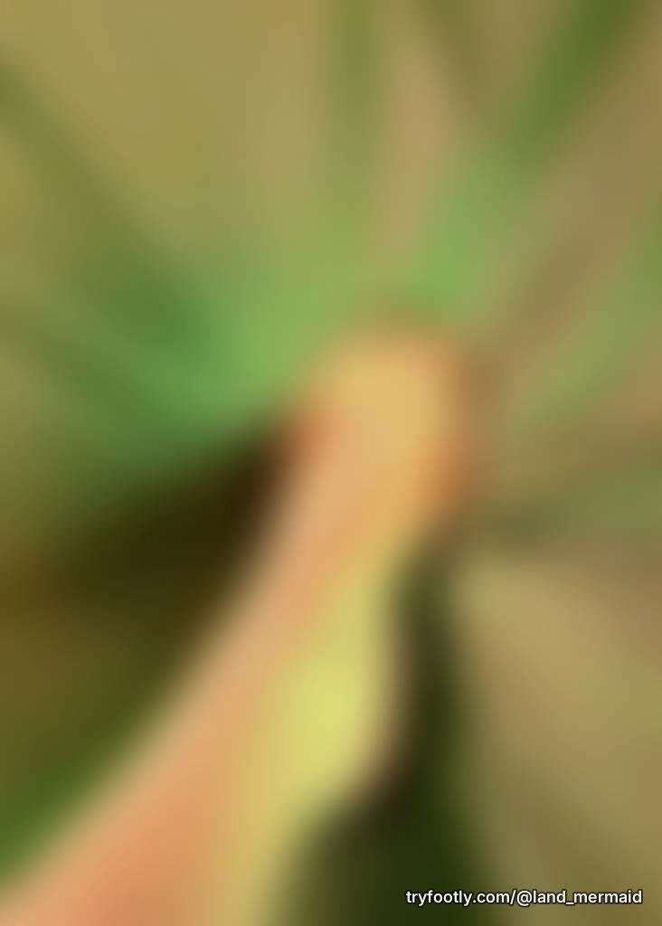 I dont know what im doing but this is a start 😉 Let me know what you think! ☺️