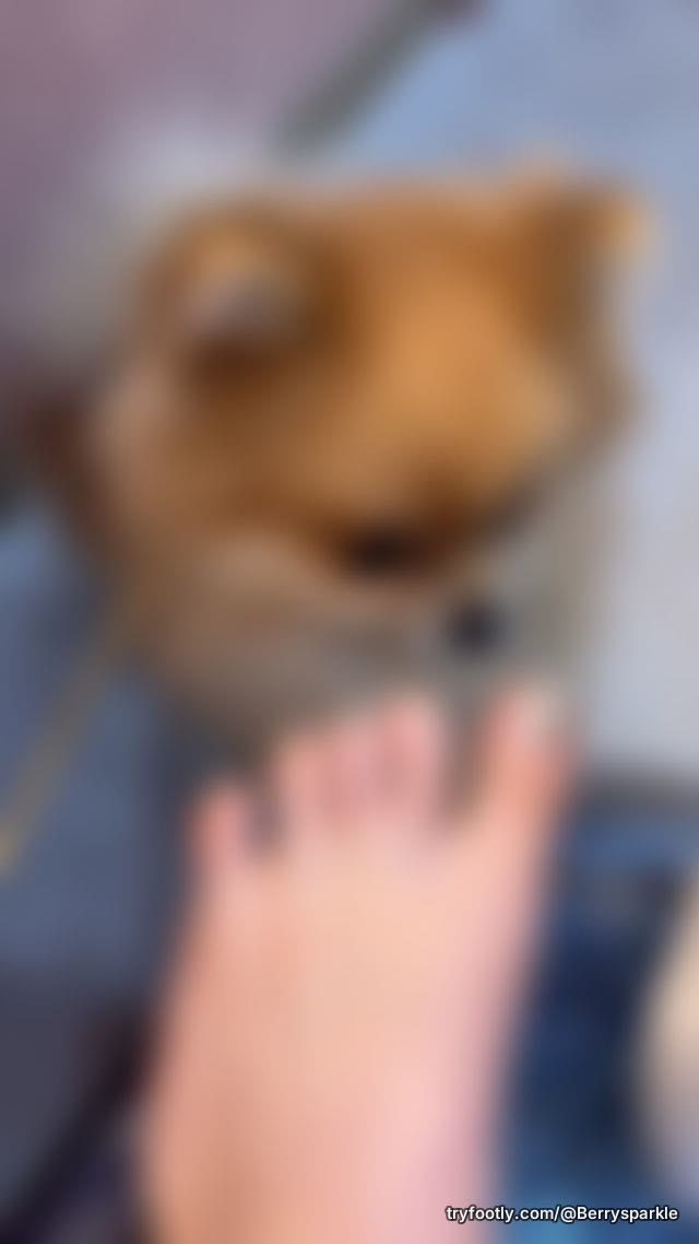 Fresh Toes got licked by my puppy ))