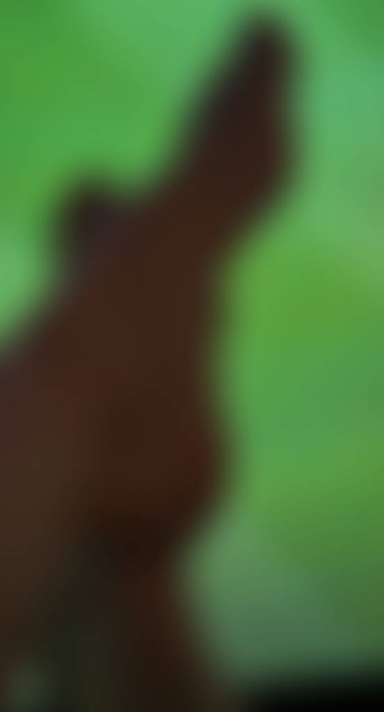 ENGLANDDDDDDDDDDDDDDDDDDDDDDDDDDDDDDDDDDDDDDDDDDDDDDDDDDDDDDDDDDDDDDDDDDDDDDDDDDDDDDDDDDD