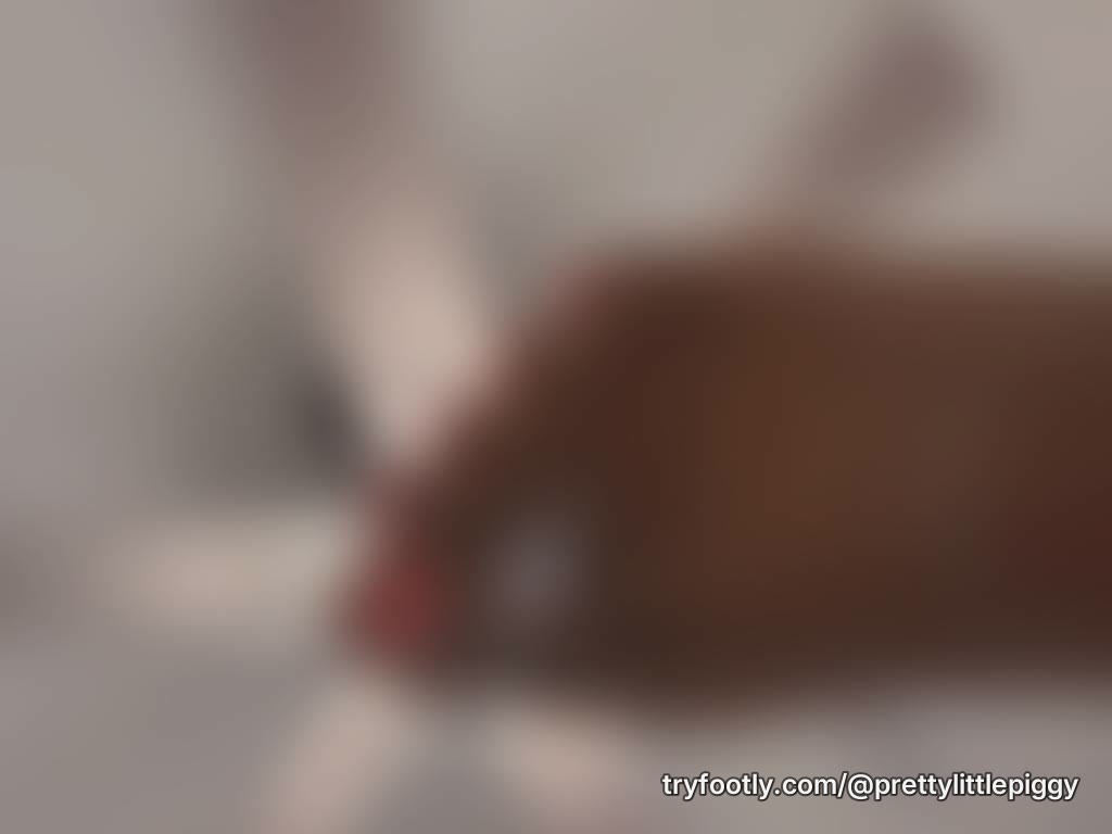 🐷 “This little piggy went to market, but these pretty little piggies stayed home… and they