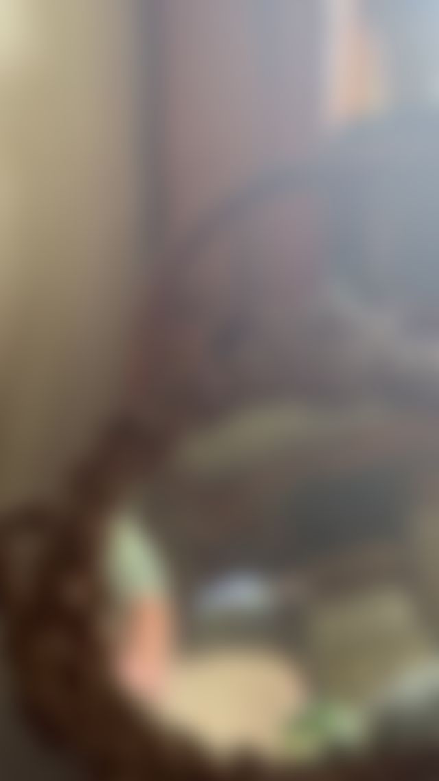 This is my first attempt to excite you with my feet🦶🏼 Please let me know what you 💭 I’d lo