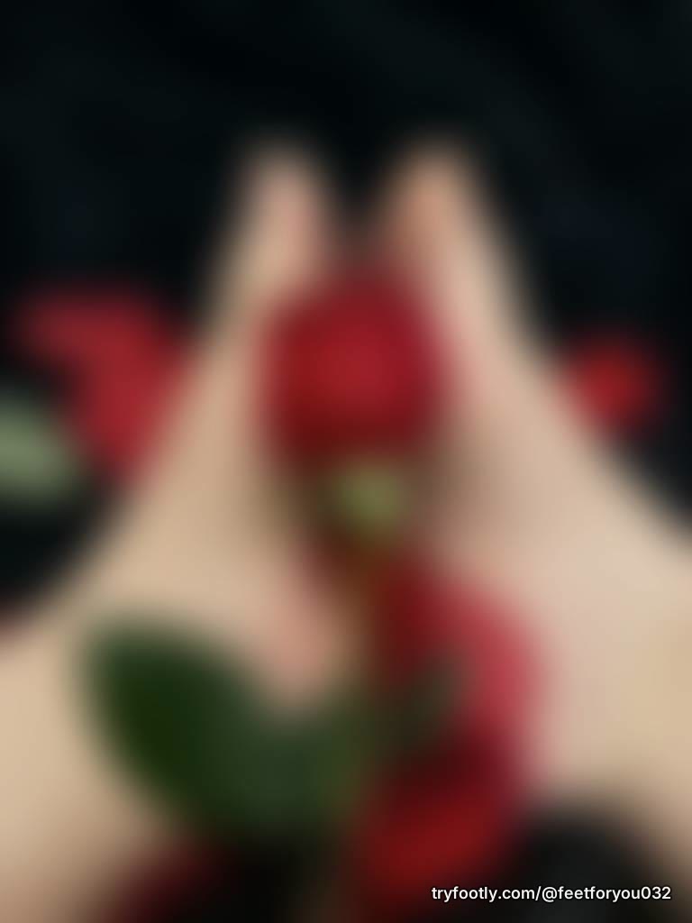 Caught between petals and toes… but I know what you’re really staring at 😌🌹