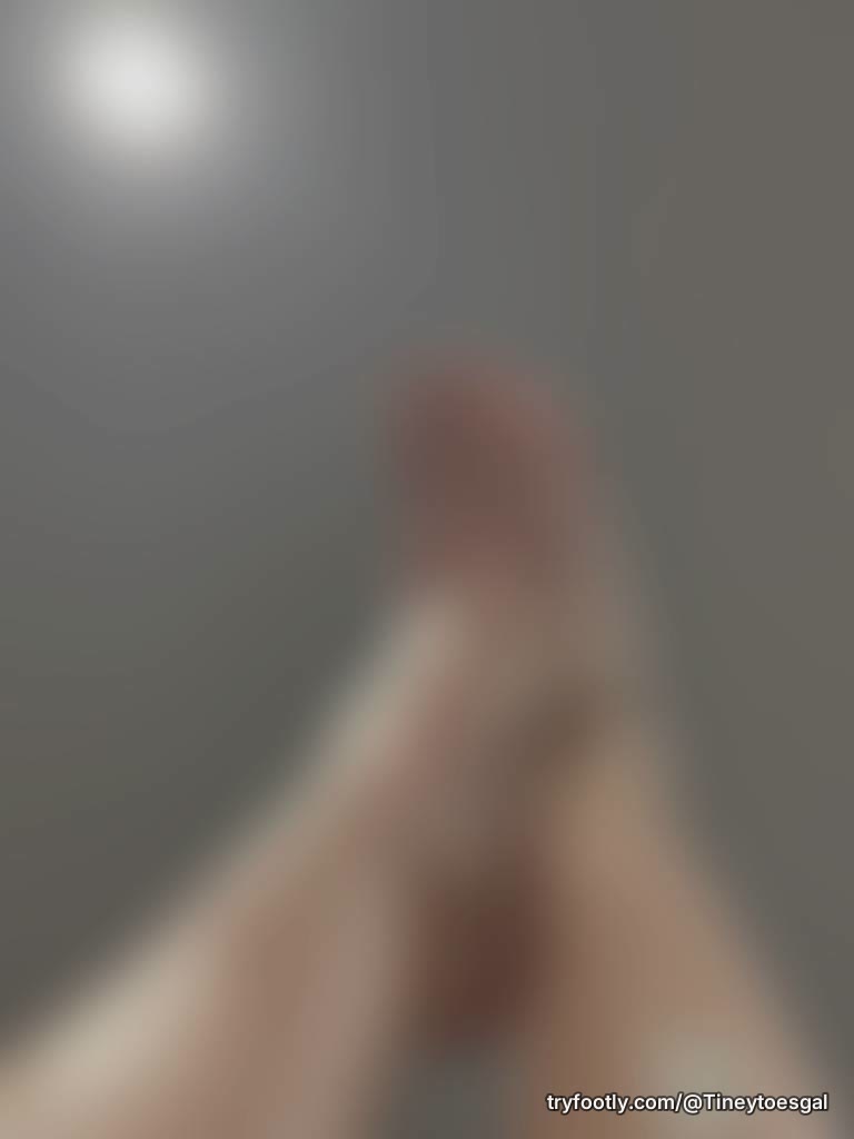 New to the site. Show some love for the piggies. Let me know what content you would love t