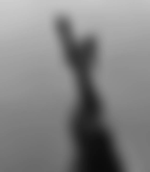 Good evening. I don’t usually announce arrivals…but exceptions can be made. I’ll let curio