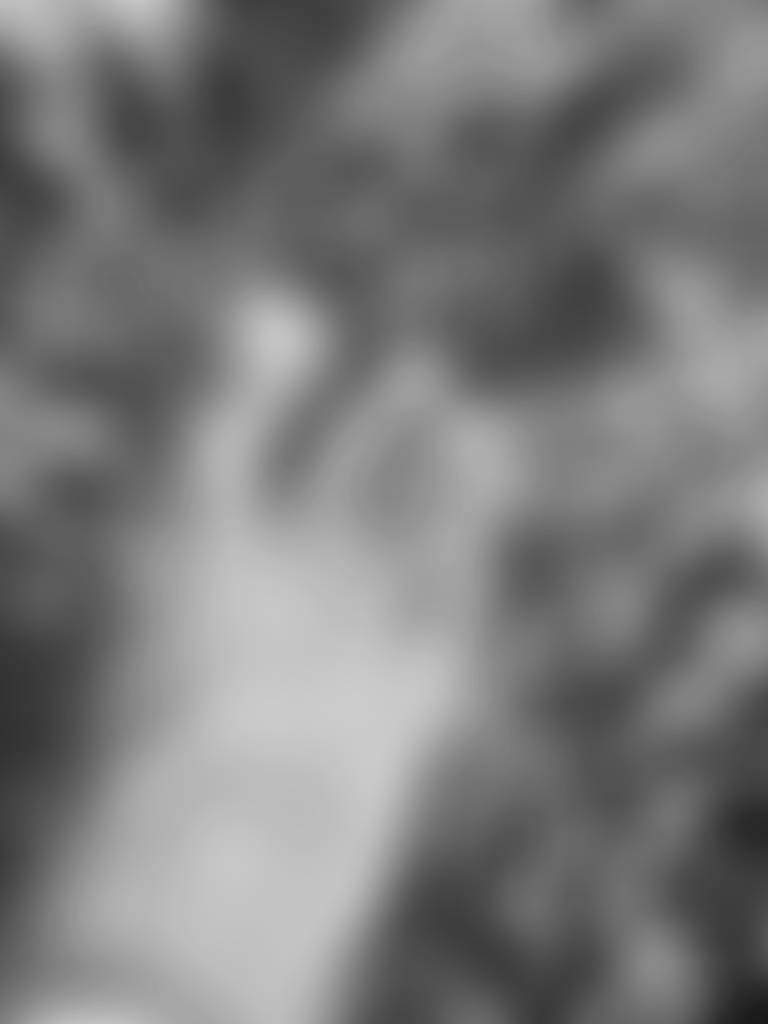 Vines, veins and summer rain… let’s chat. Taking requests.