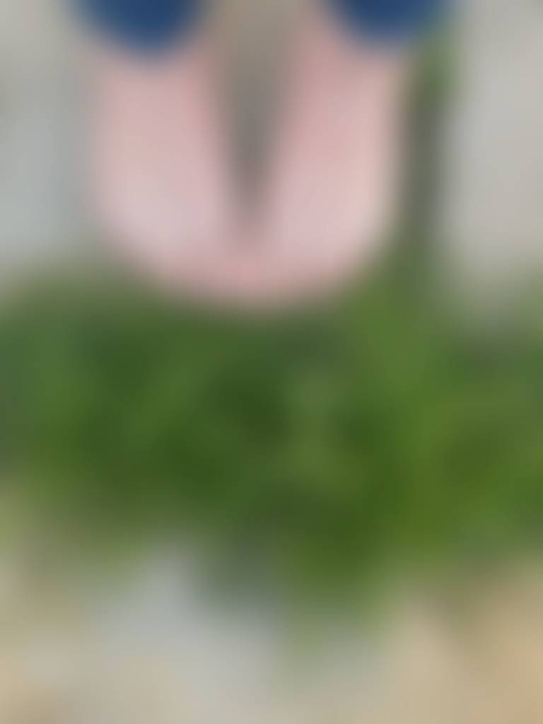 We’re new here! 🌱 Just in time for summer