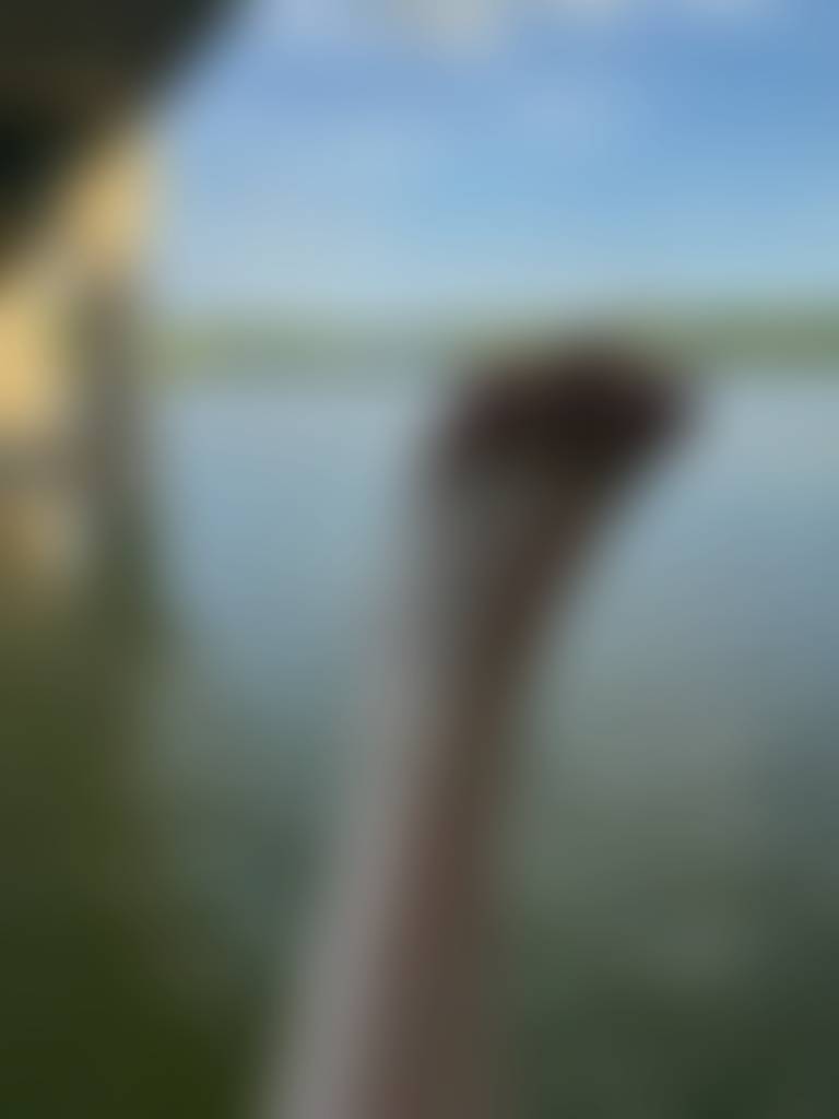 Lake photo shoot