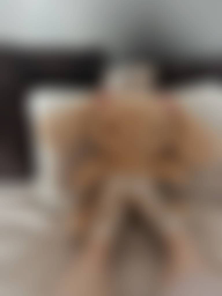 Teddy bears? 🧸