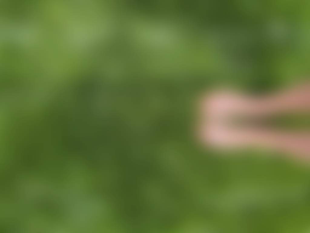 Soft grass