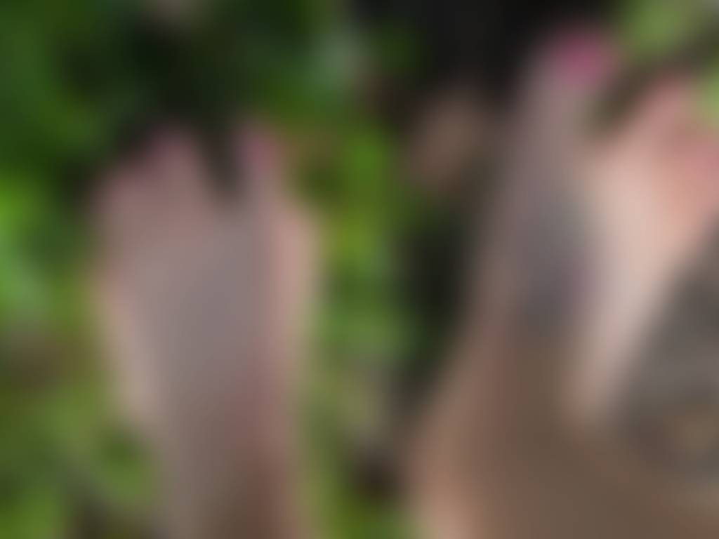 First time posting You can find me barefoot in the garden