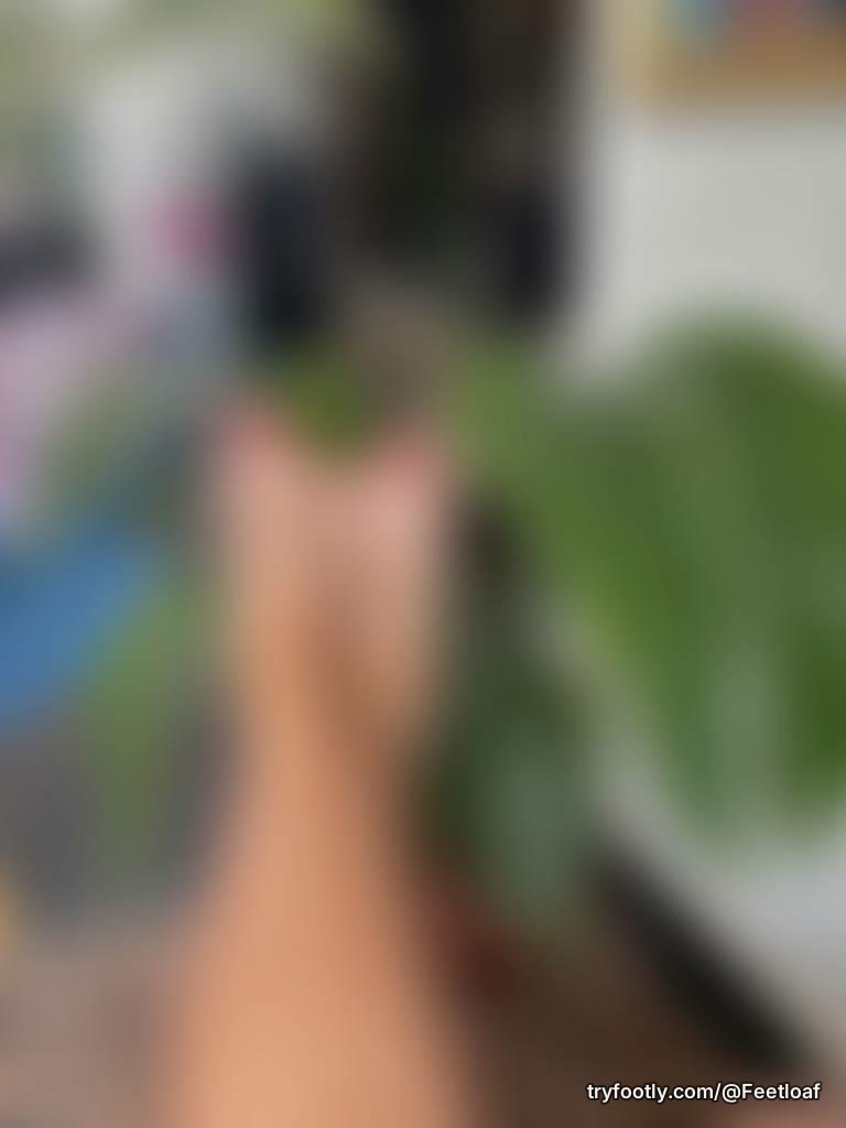 photosyn-toes-is