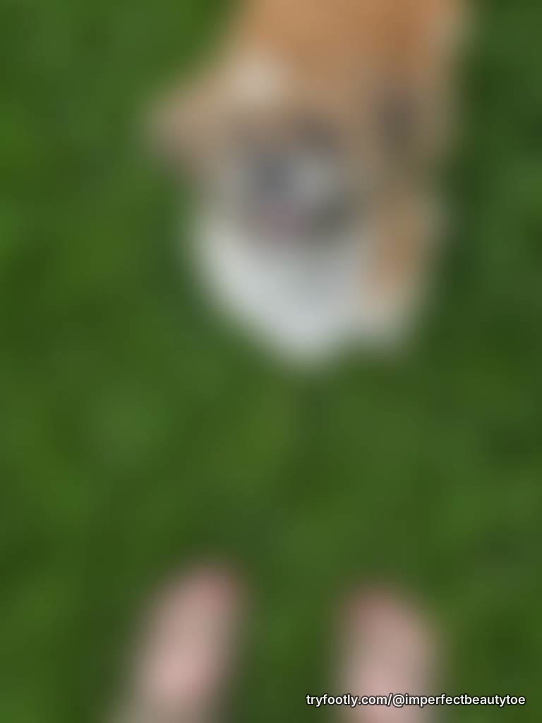 Gardening with my pup