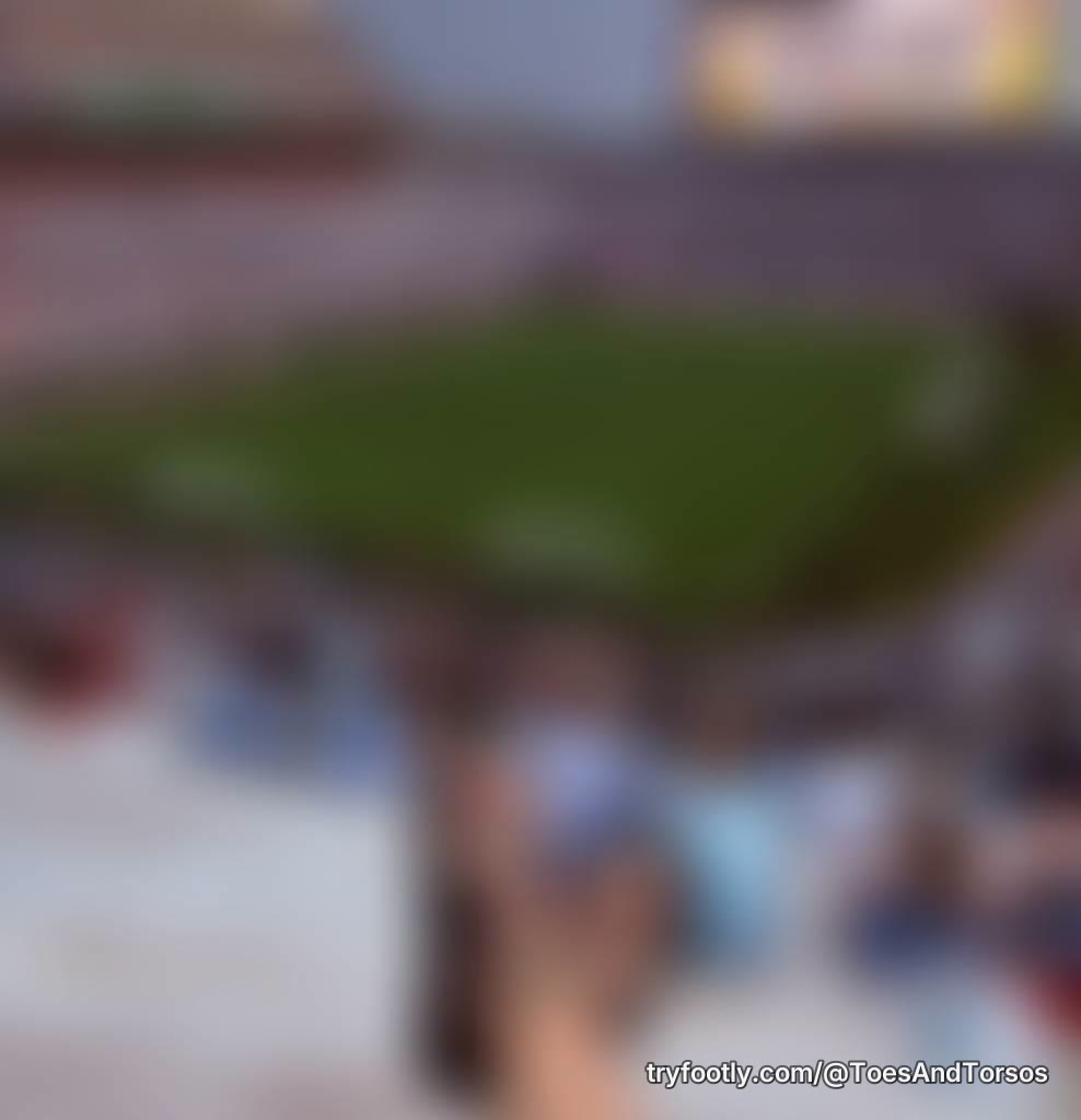 Rate the adventure: 🐾 Paw print ☔ Rain walk ⚽ Stadium view Which photo wins?
