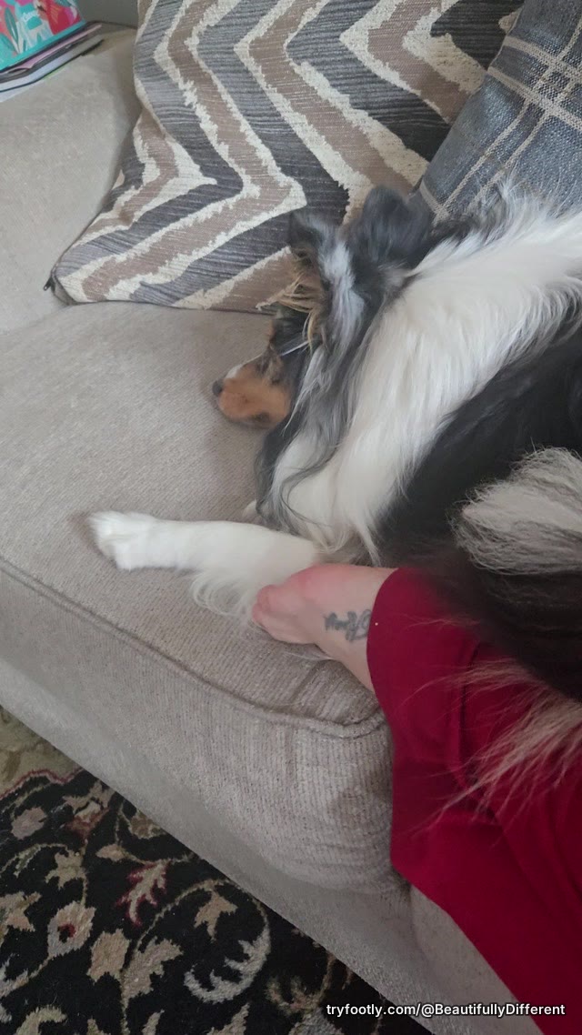 Pup kisses