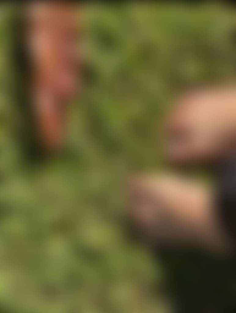Daily grass touch