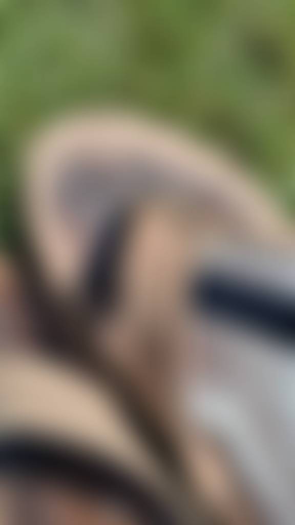 I bet you'd sniff the heck out of these well worn flippies huh?