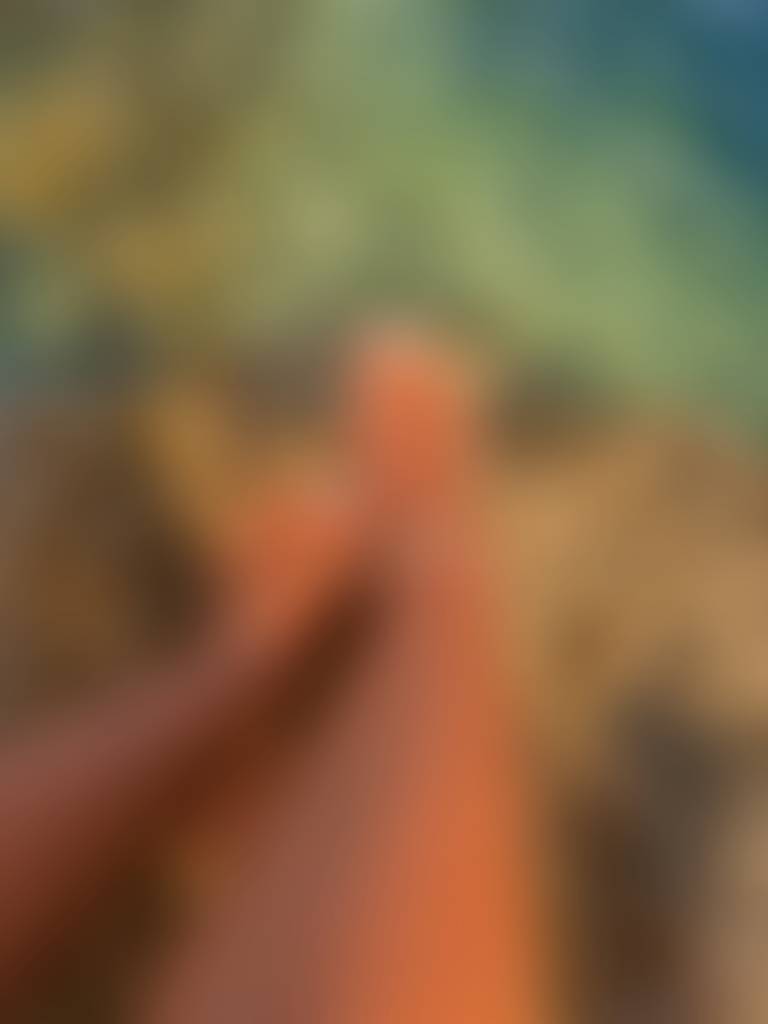 Just a glimpse. imagine the rest. 👀