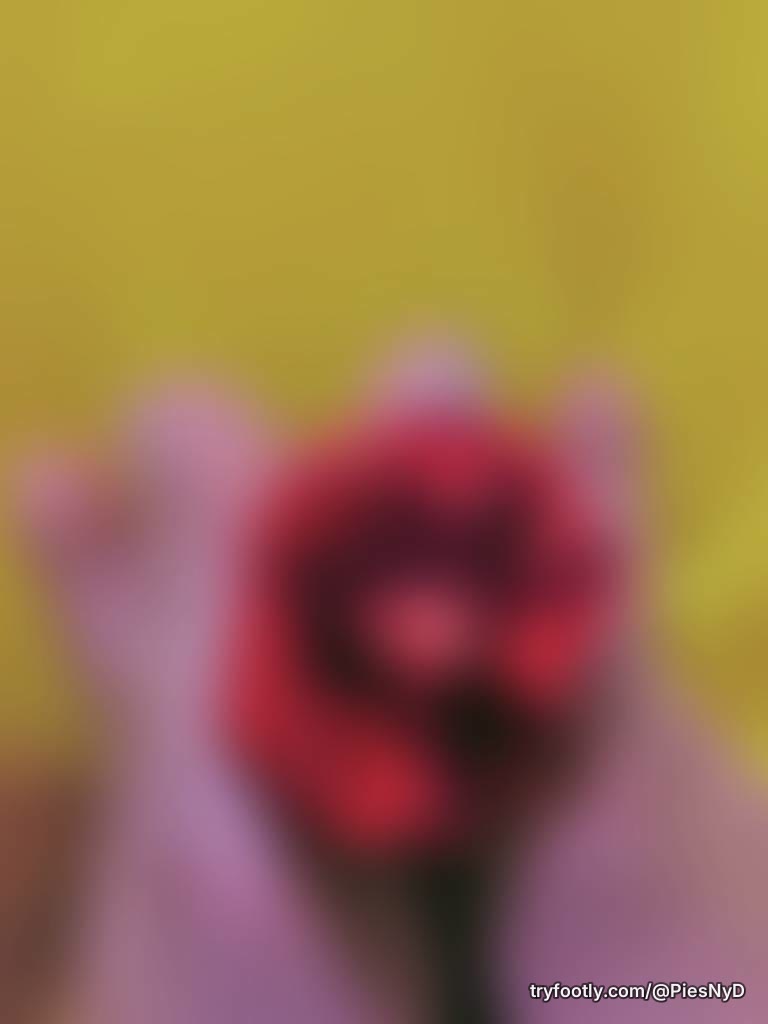 Algo de color???