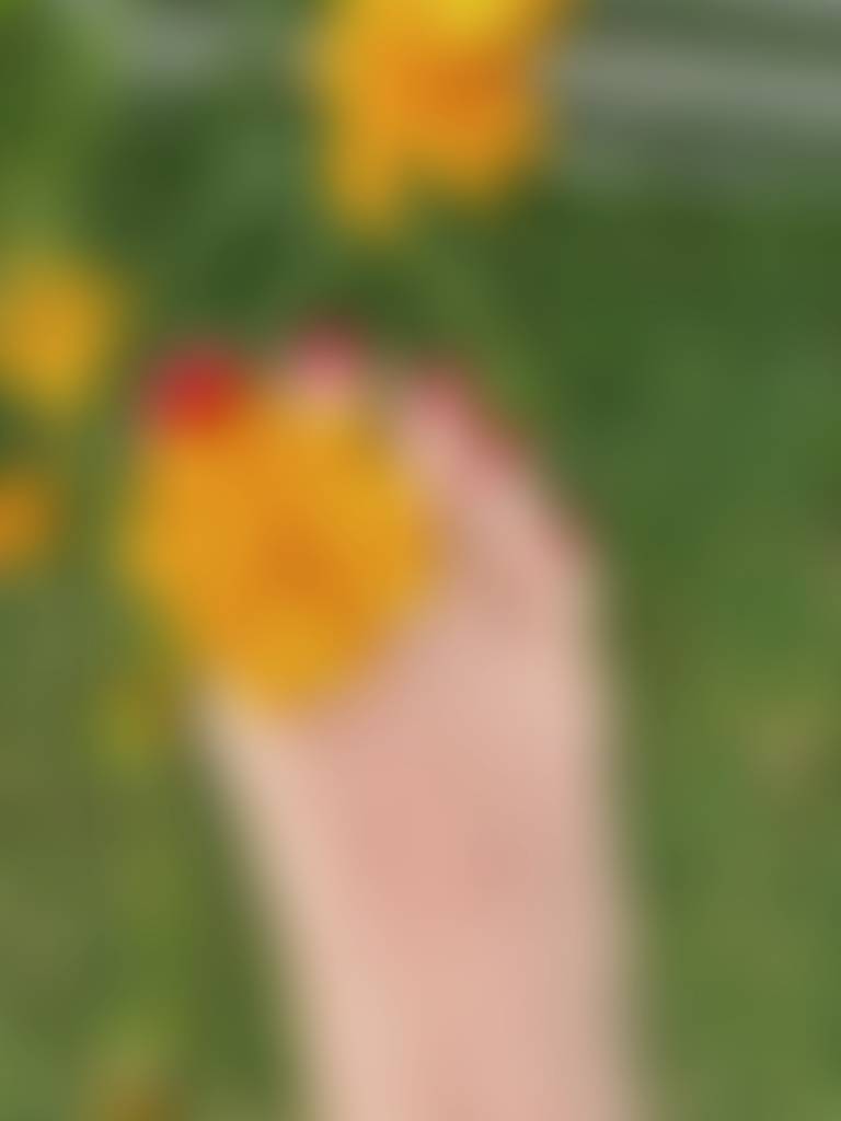 Picking flowers 🌼