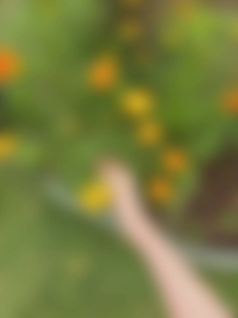 Garden time