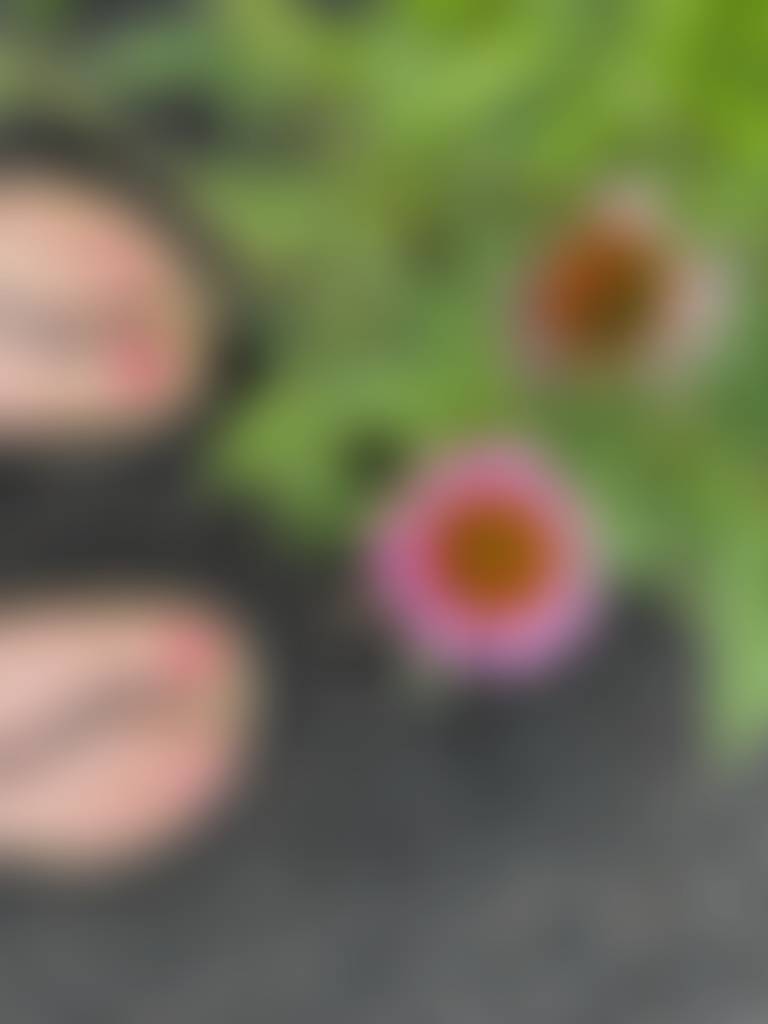 Beautiful day ☀️ beautiful flowers 🌺 beautiful feet 👣
